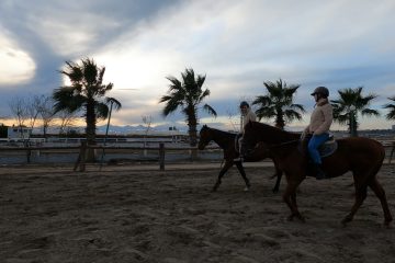 Horseback Riding Tour