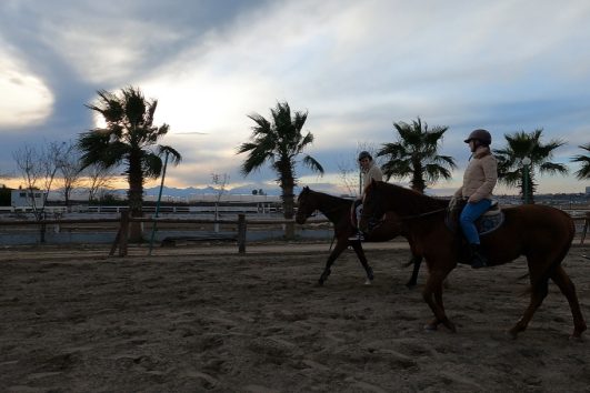Horseback Riding Tour