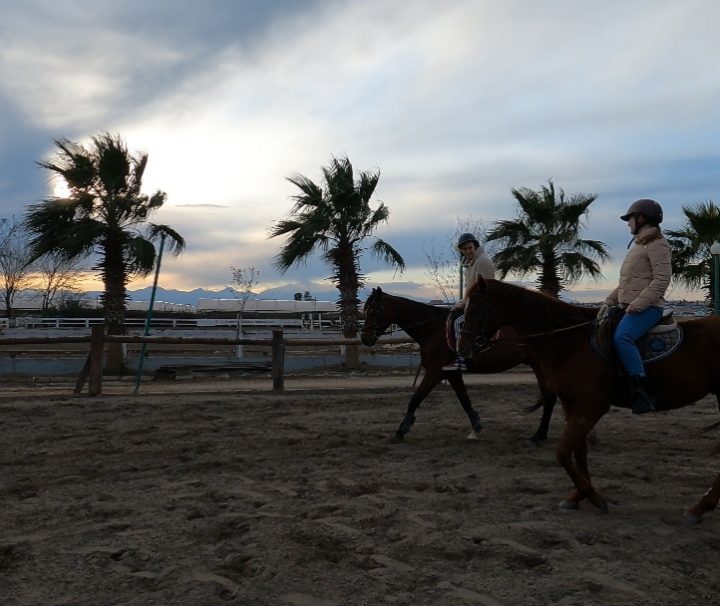 Horseback Riding Tour